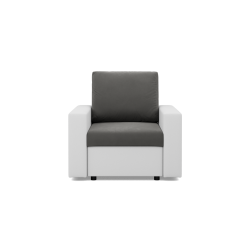 LUNA Armchair, Color - GRAY + WHITE LUNA Armchair, Color - GRAY + WHITE