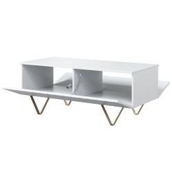 Stolik kawowy Scalia 120 2K ze schowkiem - biały mat / złote nogi - Limitowana oferta Stolik kawowy Scalia 120 2K ze schowkiem - biały mat / złote nogi - Limitowana oferta