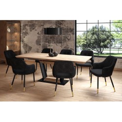 Velvet chair (black) Velvet chair (black)