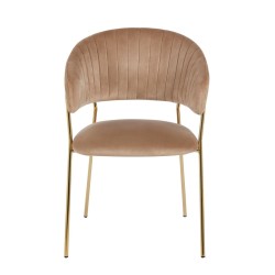 Velvet chair (cappuccino) Velvet chair (cappuccino)