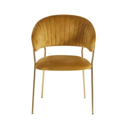 Velvet chair (curry) Velvet chair (curry)