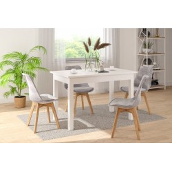 Extendable table (white) 120(160)x70 Extendable table (white) 120(160)x70