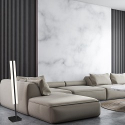 RAY 36W LED FLOOR LAMP RAY 36W LED FLOOR LAMP