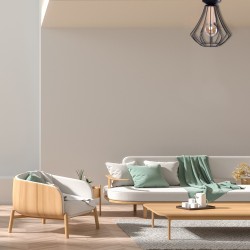 Ceiling lamp WILL BLACK 1xE27 Ceiling lamp WILL BLACK 1xE27