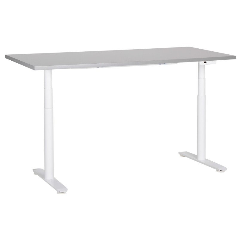 Biurko regulowane elektrycznie 160 x 72 cm szaro-białe DESTINAS Biurko regulowane elektrycznie 160 x 72 cm szaro-białe DESTINAS