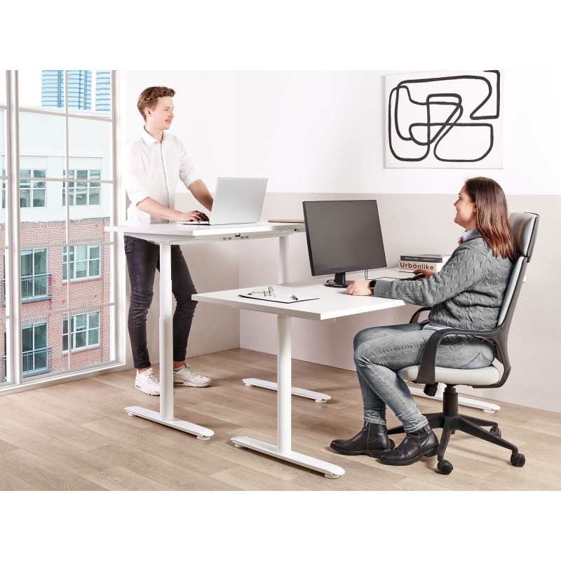 Biurko regulowane manualnie 120 x 72 cm białe DESTINAS Biurko regulowane manualnie 120 x 72 cm białe DESTINAS