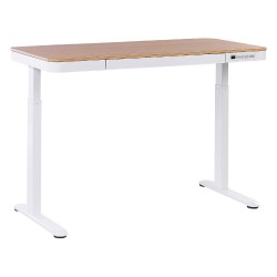 Biurko regulowane elektrycznie 120 x 60 cm z portem USB jasne drewno z białym KENLY