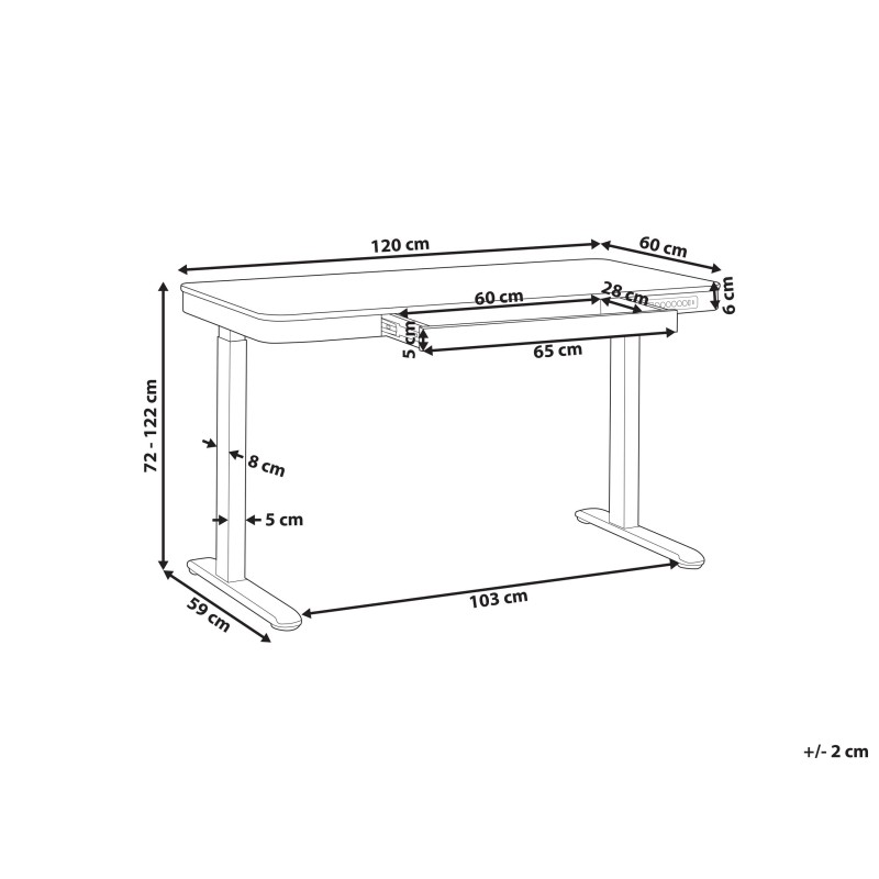 Biurko regulowane elektrycznie 120 x 60 cm z portem USB jasne drewno z białym KENLY Biurko regulowane elektrycznie 120 x 60 cm z portem USB jasne drewno z białym KENLY