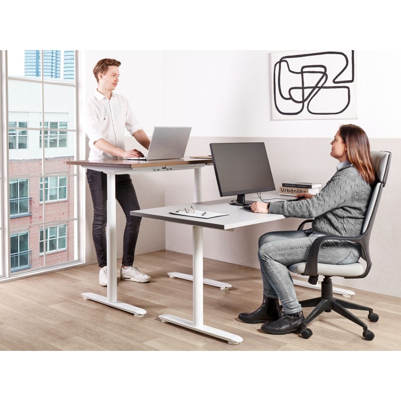 Biurko regulowane manualnie 160 x 72 cm szaro-białe DESTINAS Biurko regulowane manualnie 160 x 72 cm szaro-białe DESTINAS