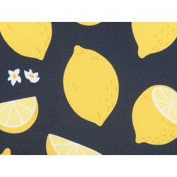 Zestaw 2 poduszek dekoracyjnych CITRUS 45 x 45 cm Czarny Wzór roślinny Zestaw 2 poduszek dekoracyjnych CITRUS 45 x 45 cm Czarny Wzór roślinny