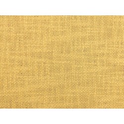 Zestaw 2 poduszek dekoracyjnych LYNCHIS Bawełna 45 x 45 cm Żółty Jednolity Zestaw 2 poduszek dekoracyjnych LYNCHIS Bawełna 45 x 45 cm Żółty Jednolity