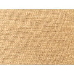 Zestaw 2 poduszek dekoracyjnych OLEARIA Bawełna 45 x 45 cm Piaskowy Jednolity Zestaw 2 poduszek dekoracyjnych OLEARIA Bawełna 45 x 45 cm Piaskowy Jednolity