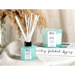 Świeczka zapachowa z patyczkami zapachowymi CLASSY TINT Wosk sojowy Świeże nuty Świeczka zapachowa z patyczkami zapachowymi CLASSY TINT Wosk sojowy Świeże nuty