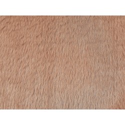 Zestaw 2 poduszek dekoracyjnych ACHILLEA Sztuczne futro 54 x 54 cm Beżowy Jednolity Zestaw 2 poduszek dekoracyjnych ACHILLEA Sztuczne futro 54 x 54 cm Beżowy Jednolity