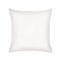 Zestaw 2 poduszek dekoracyjnych ELANITE Bawełna 45 x 45 cm Zielony Wzór orientalny Zestaw 2 poduszek dekoracyjnych ELANITE Bawełna 45 x 45 cm Zielony Wzór orientalny