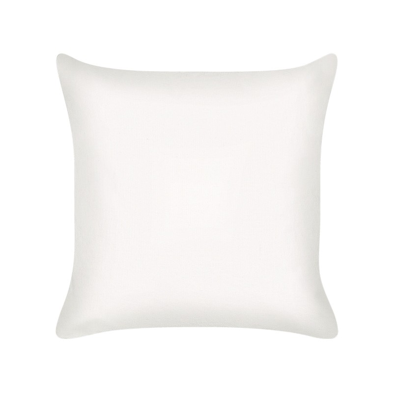 Zestaw 2 poduszek dekoracyjnych ELANITE Bawełna 45 x 45 cm Zielony Wzór orientalny Zestaw 2 poduszek dekoracyjnych ELANITE Bawełna 45 x 45 cm Zielony Wzór orientalny