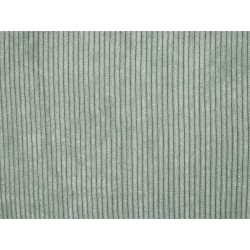 Zestaw 2 poduszek dekoracyjnych ZINNIA Sztruks 43 x 43 cm Jasnozielony Jednolity Zestaw 2 poduszek dekoracyjnych ZINNIA Sztruks 43 x 43 cm Jasnozielony Jednolity
