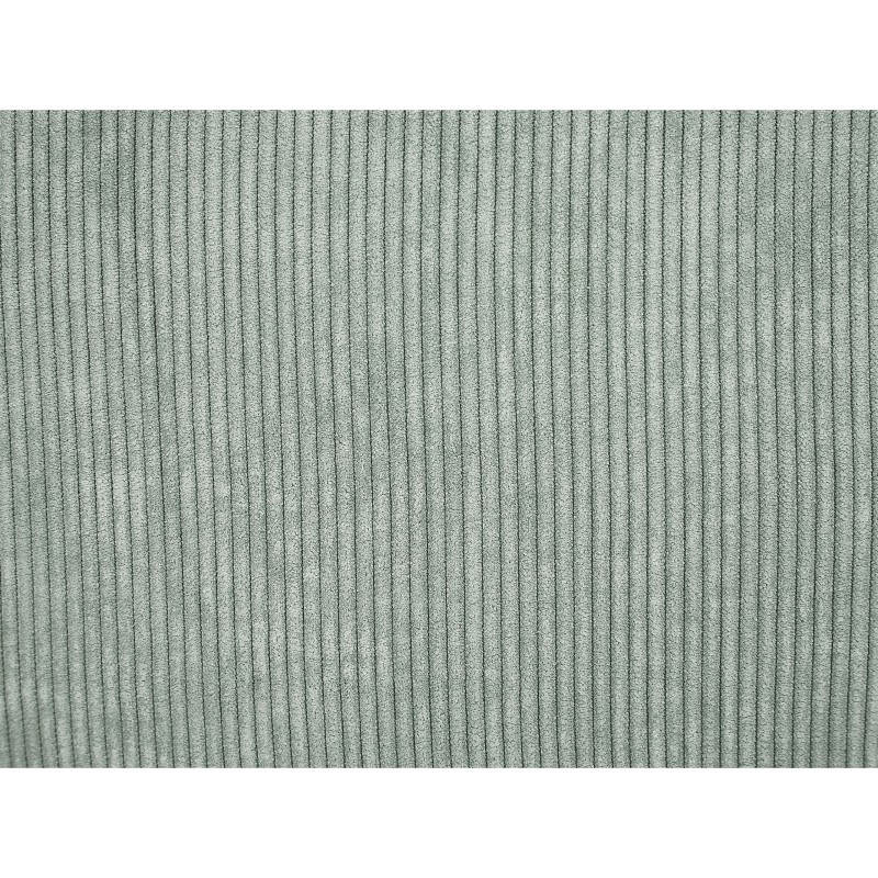 Zestaw 2 poduszek dekoracyjnych ZINNIA Sztruks 43 x 43 cm Jasnozielony Jednolity Zestaw 2 poduszek dekoracyjnych ZINNIA Sztruks 43 x 43 cm Jasnozielony Jednolity
