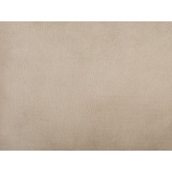 Zestaw 2 poduszek dekoracyjnych POTHOS Welur 45 x 45 cm Beżowy Jednolity Zestaw 2 poduszek dekoracyjnych POTHOS Welur 45 x 45 cm Beżowy Jednolity